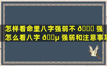 怎样看命里八字强弱不 🍀 强（怎么看八字 🐵 强弱和注意事项）